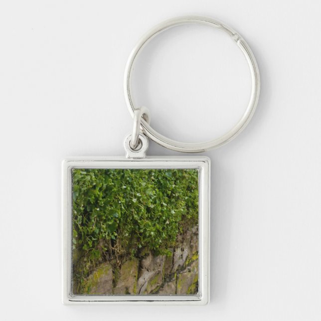 Wall Of Ivy Keychain (Front)