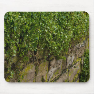 Wall Of Ivy Mouse Pad
