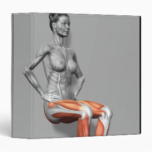 Wall Sit Binder