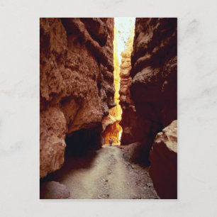 Wall Street, Bryce National Park, Utah rock format Postcard