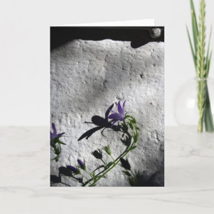 Wall with Bellflowers - Sympathy Cards
