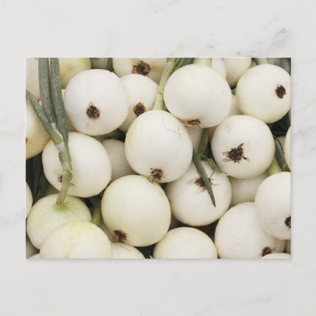 Walla Walla Sweet Onions Postcard (Front)