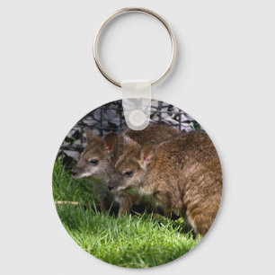 Wallabies Keychain