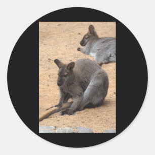 Wallabies Nature Lovers Fuerteventura Vertical Sti Classic Round Sticker