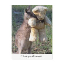 Wallaby hugging teddybear postcard love you