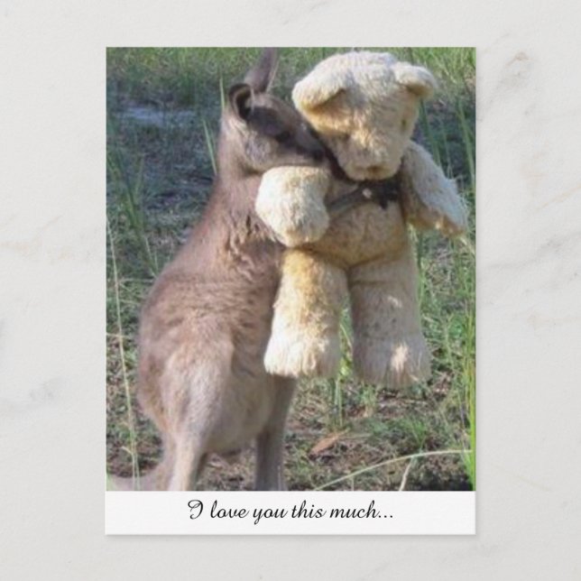 Wallaby hugging teddybear postcard love you (Front)