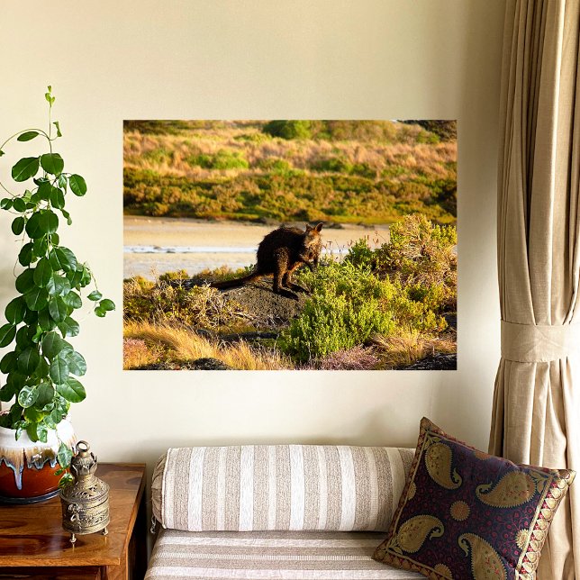 Wallaby on the Riverside Canvas Print (Creator Uploaded)