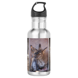 Wallaby Water Bottle