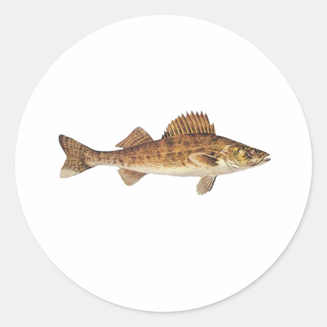 Walleye Art Classic Round Sticker (Front)