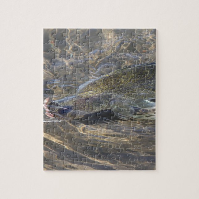 Walleye Caught Jigsaw Puzzle (Vertical)
