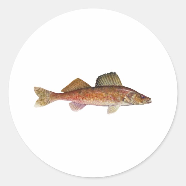 Walleye Classic Round Sticker (Front)