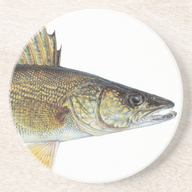 WALLEYE COASTER (Front)