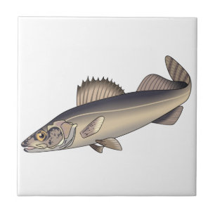 Walleye Fish Tile