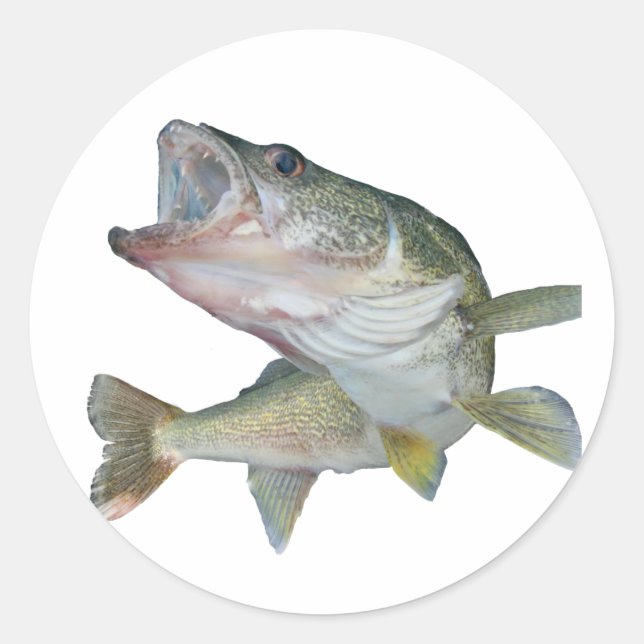 Walleye fishing classic round sticker (Front)