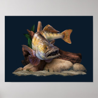 Walleye Fishing Illustration, Walleye Fisherman  Poster
