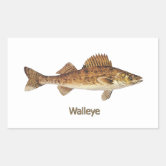 Walleye Decal Walleye Vinyl Decal Walleye Sticker Fish Decal Fish Sticker  Ice Fishing Decal Fisherman Decal Fishing Decal -  Canada