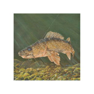 Walleye Fish Wall Decal