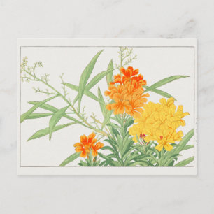 Wallflower by Tanigami Konan Postcard