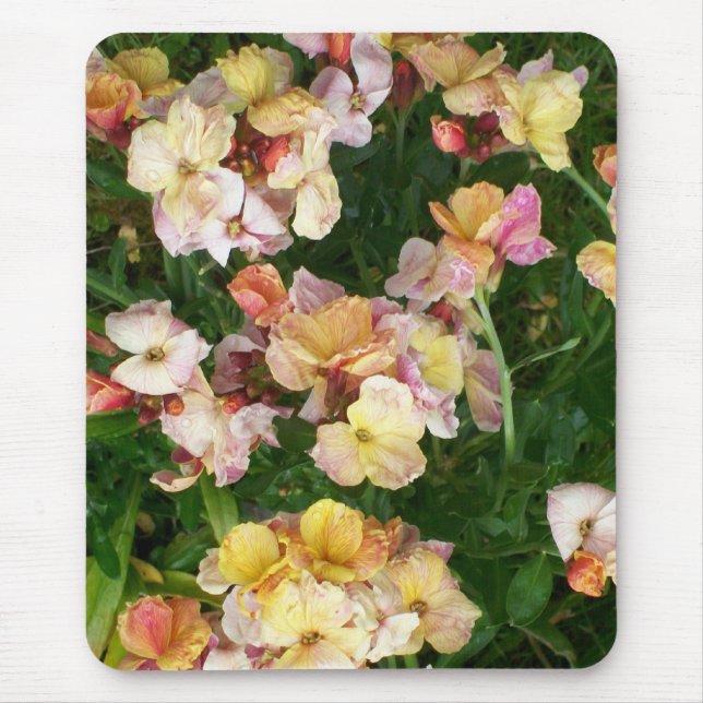 Wallflowers Mousepad (Front)