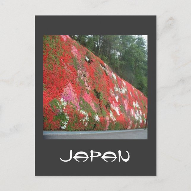 wallofcolor, Japan Postcard (Front)