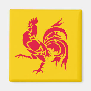 Wallonia flag Belgium region french province symbo Magnet