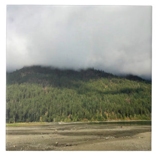 Wallowa Lake State Park, OR Tile