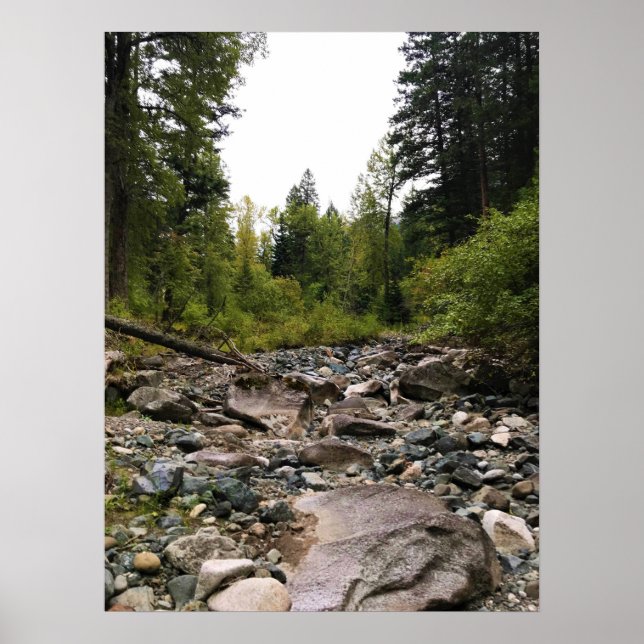 Wallowa River, OR Poster (Front)