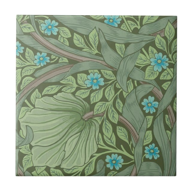 Wallpaper Pattern Sample with Forget-Me-Nots Tile (Front)