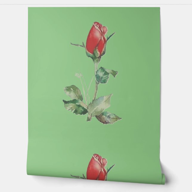 Wallpaper rose style design (Unrolling)