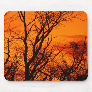 Walnut Tree Silhouette Mousepad