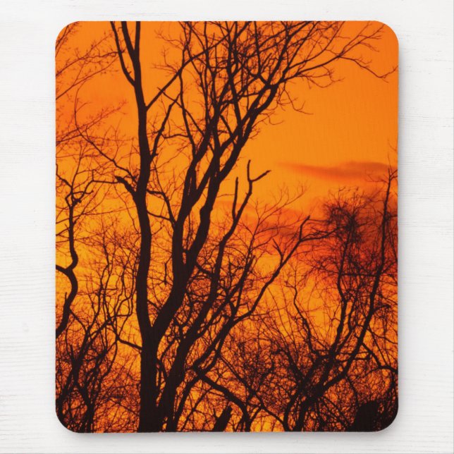 Walnut Tree Silhouette Mousepad (Front)