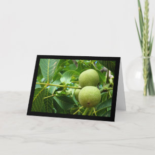 Walnuts in Green Foliage Card