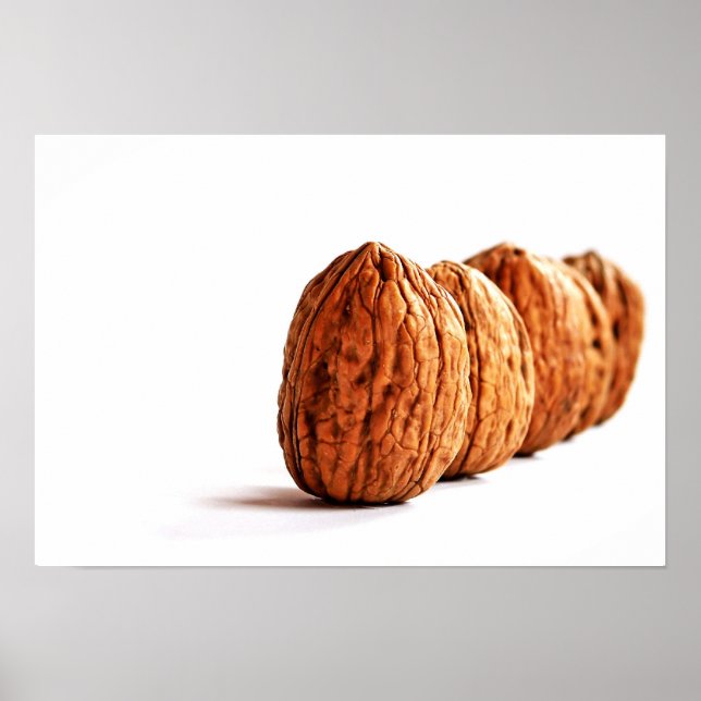 Walnuts on White Food Poster (Front)