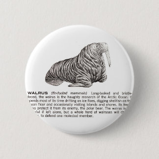 walrus 2 inch round button
