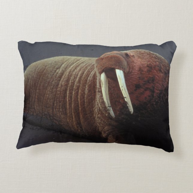 Walrus Accent Pillow (Back)