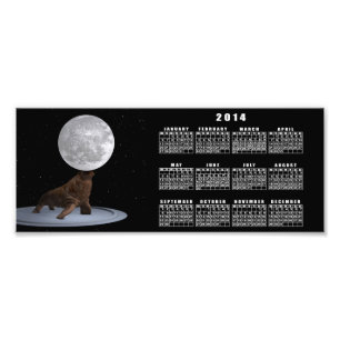 Walrus Balancing The Moon Photo Print