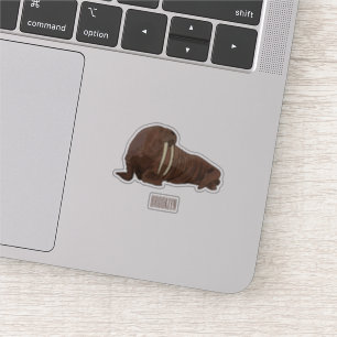 Walrus cartoon illustration