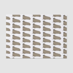 Walrus cartoon illustration tissue paper