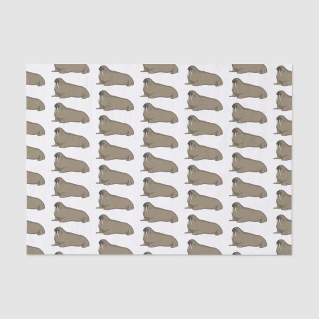Walrus cartoon illustration tissue paper (Front)