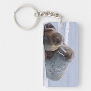 Walrus cow and calf rest on a sea ice floe keychain