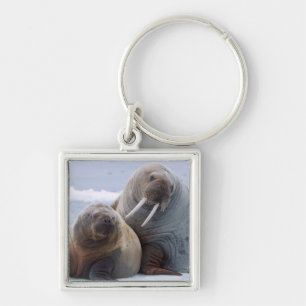 Walrus cow and calf rest on a sea ice floe keychain