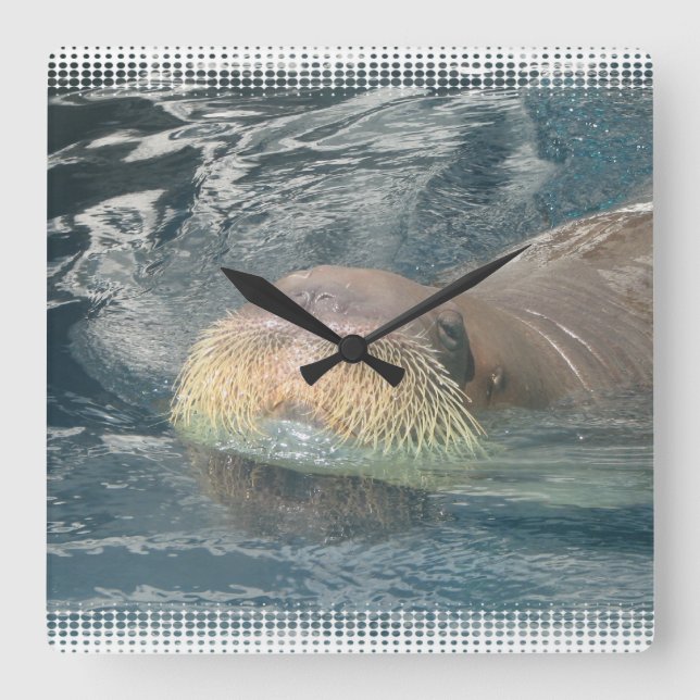 Walrus Face Square Wall Clock (Front)