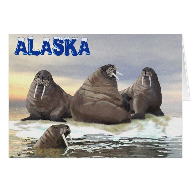 Walrus - Four Brothers (Front Horizontal)