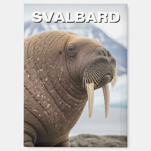 Walrus in Svalbard Norway Magnet