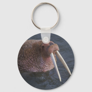 Walrus Keychain