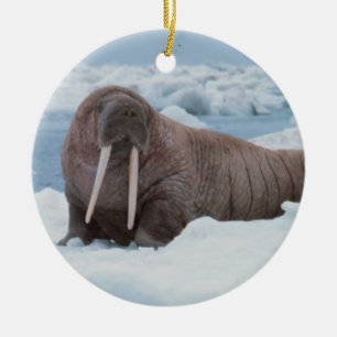 Walrus laying around ceramic ornament