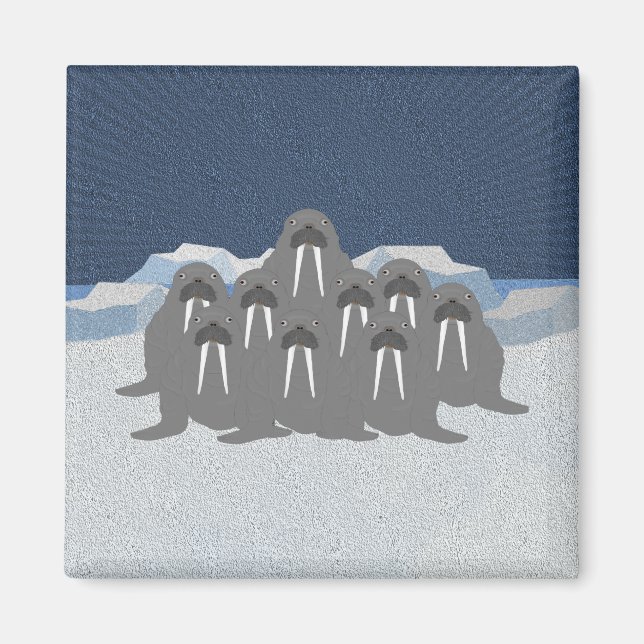 Walrus Magnet (Front)