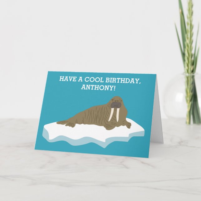 Walrus on an Iceberg Illustration Birthday Card (Front)