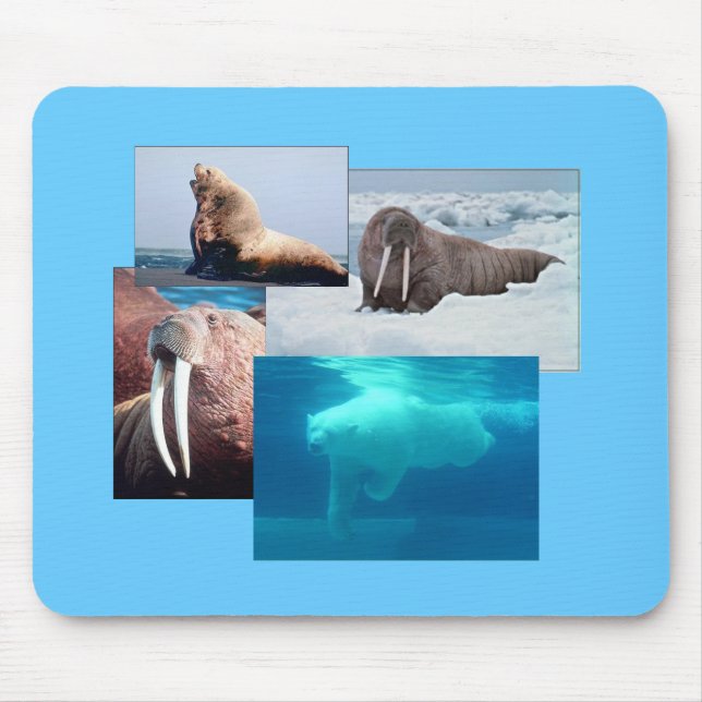 Walrus, Polar Bear, Sea Lion Bull Mousepad (Front)