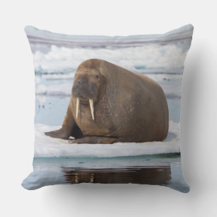 Walrus resting on ice, Norway Throw Pillow